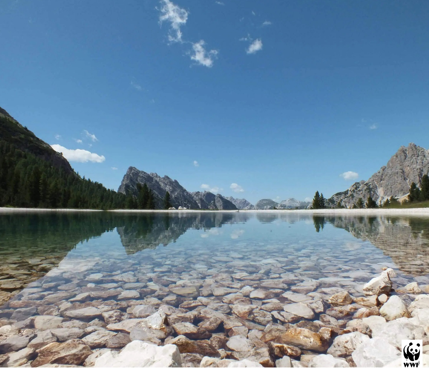 Wwf come creare un’efficace rete di aree protette a terra e a mare in